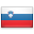 Slovinsky