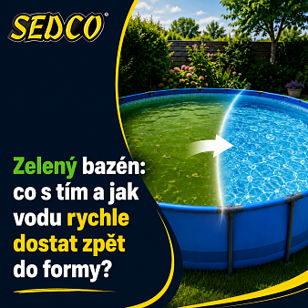 Zelený bazén: co s tím a jak vodu rychle dostat zpět do formy